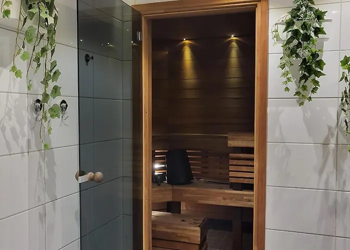 Villaapaja * 罗瓦涅米